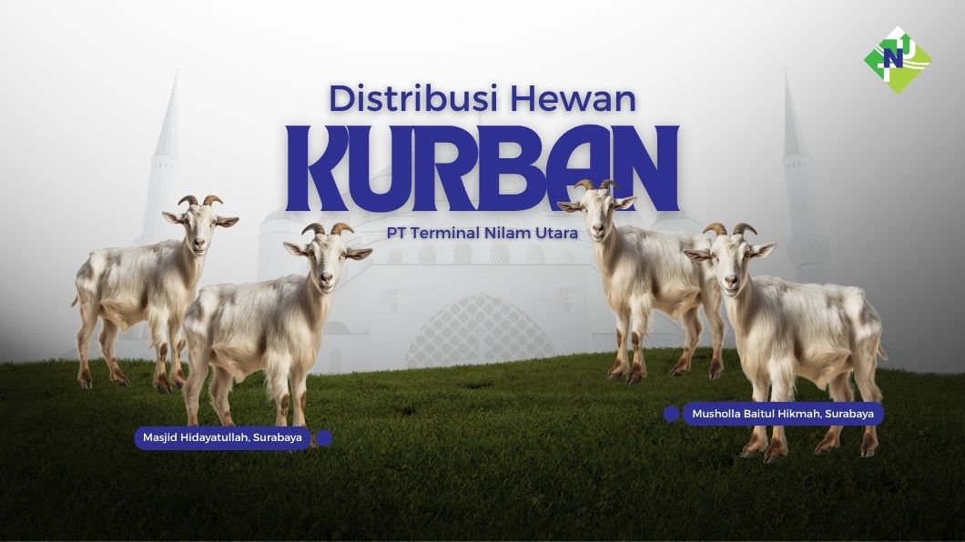 DISTRIBUSI HEWAN KURBAN PT TERMINAL NILAM UTARA
